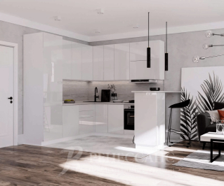 Кухня "Русиби"