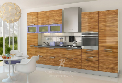 Кухня "Моника"