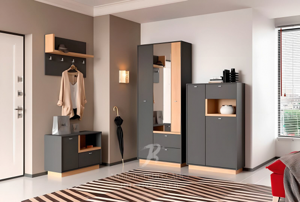 Прихожая "Эбро" фото 