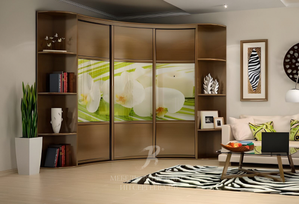 Шкаф "Андимилос" фото 