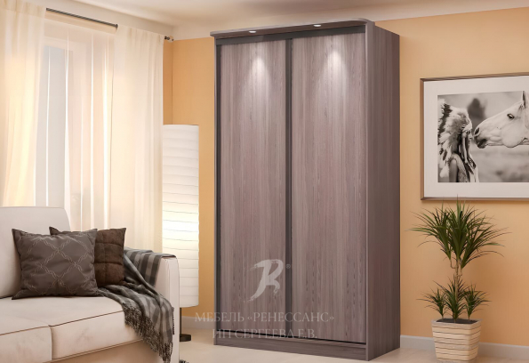 Шкаф-купе "Антипсара" фото 