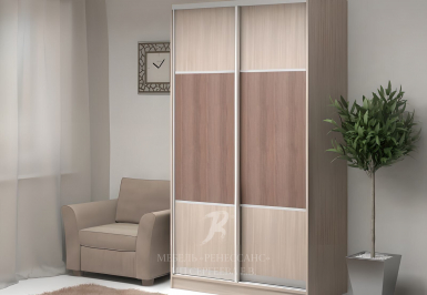 Шкаф-купе "Дайкон"