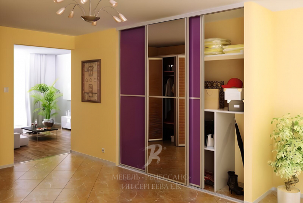 Шкаф-купе "Даная" фото 