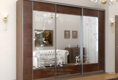 Шкаф-купе "Докос"