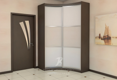 Шкаф-купе "Донуса"