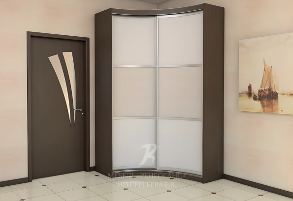 Шкаф-купе "Донуса" фото 