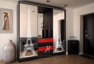 Шкаф-купе "Франция"