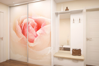 Шкаф-купе "Футаои"