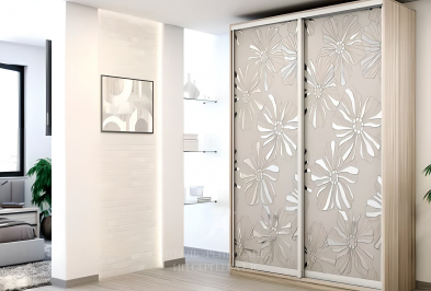 Шкаф-купе "Икэма"