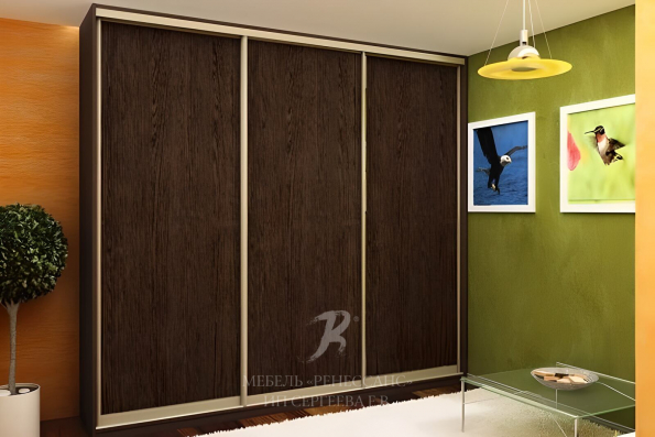 Шкаф-купе "Каламос" фото 