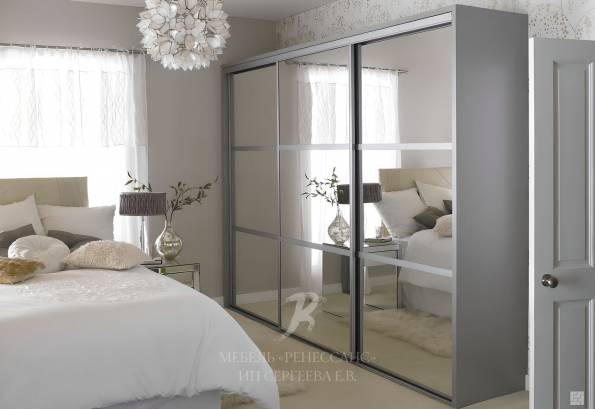 Шкаф-купе "Каноэ" фото 