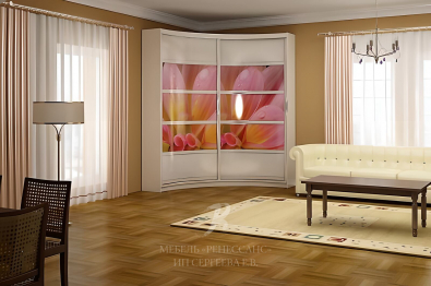 Шкаф-купе "Касос"