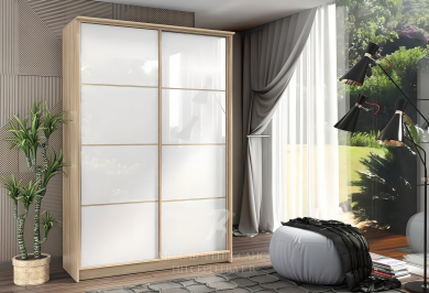 Шкаф-купе "Клематисы"