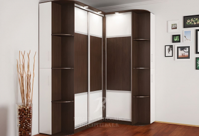 Шкаф-купе "Лайна"