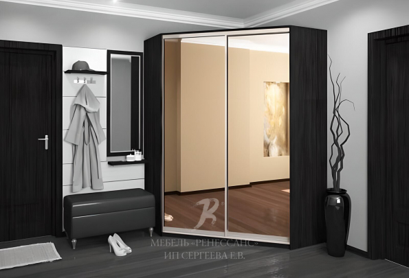 Шкаф-купе "Меганиси" фото 