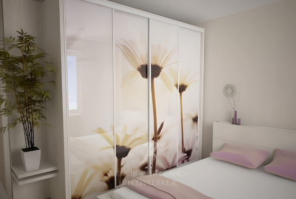 Шкаф-купе "Окинава" фото 