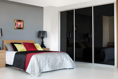 Шкаф-купе "Окинура"