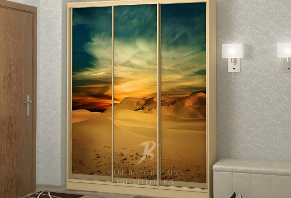 Шкаф-купе "Пустыня" фото 