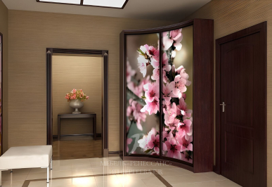 Шкаф-купе "Ракиура"