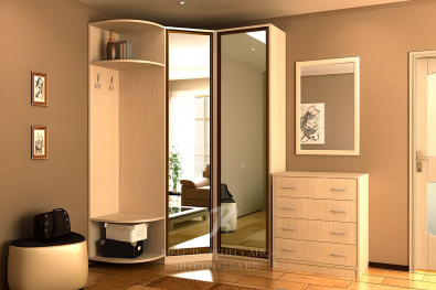 Шкаф-купе "Ратонга"