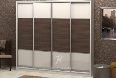 Шкаф-купе "Ребун"