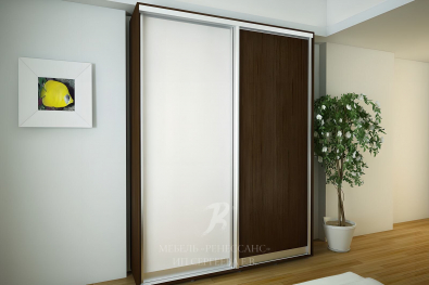 Шкаф-купе "Рио"