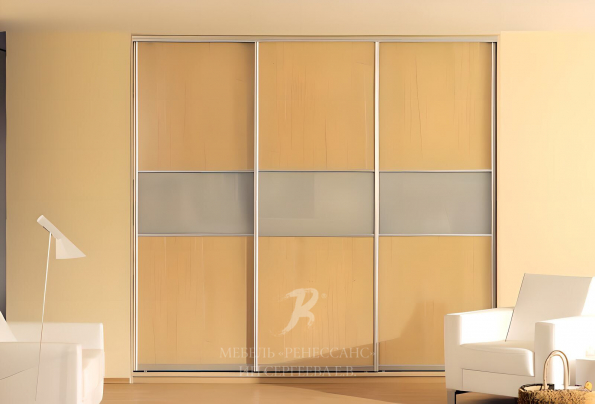 Шкаф-купе "Rongelap" фото 