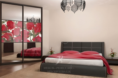 Шкаф-купе "Роуз"