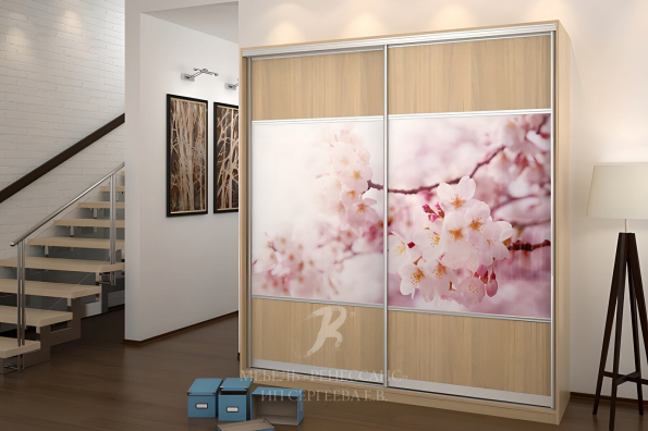 Шкаф-купе "Сакура" фото 