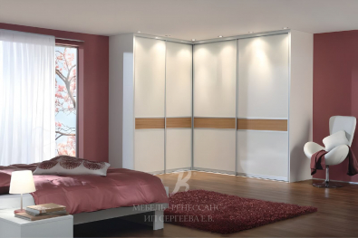 Шкаф-купе "Санта-Крус"