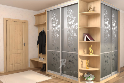 Шкаф-купе "Савидж"