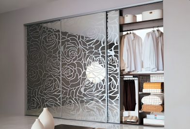 Шкаф-купе "Сильван"