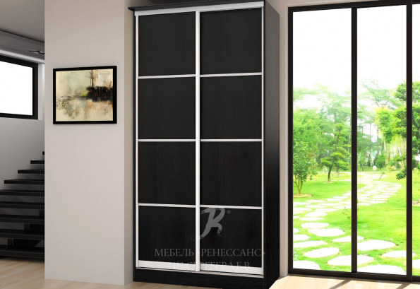 Шкаф-купе "Скиропула" фото 