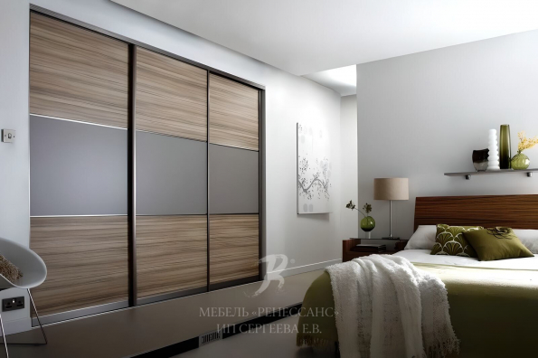 Шкаф-купе "Терайна" фото 