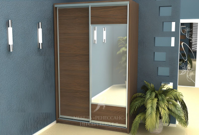 Шкаф-купе "Тирасия"