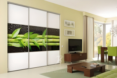 Шкаф-купе "Тростник"