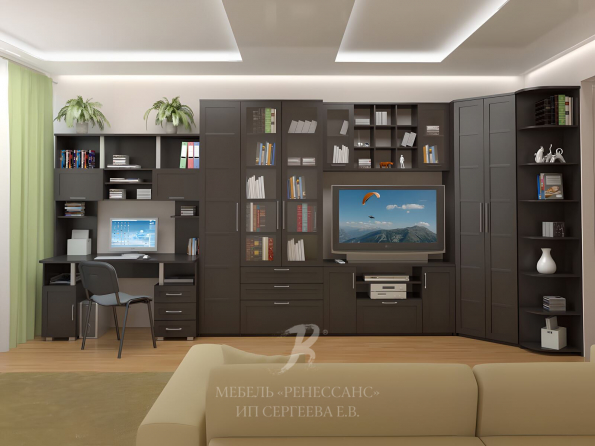 Стенка "Ньютон" фото 