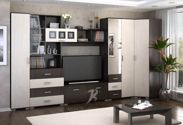 Стенка "Пластика" фото 